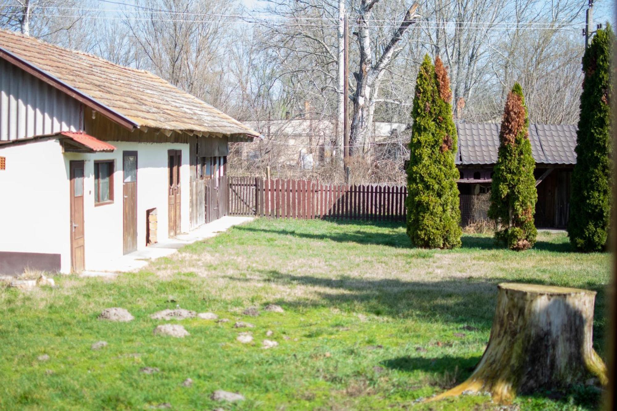 Villa Flora Kiskunmajsa Exterior foto